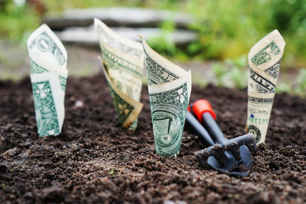 畑にを植えられているお金