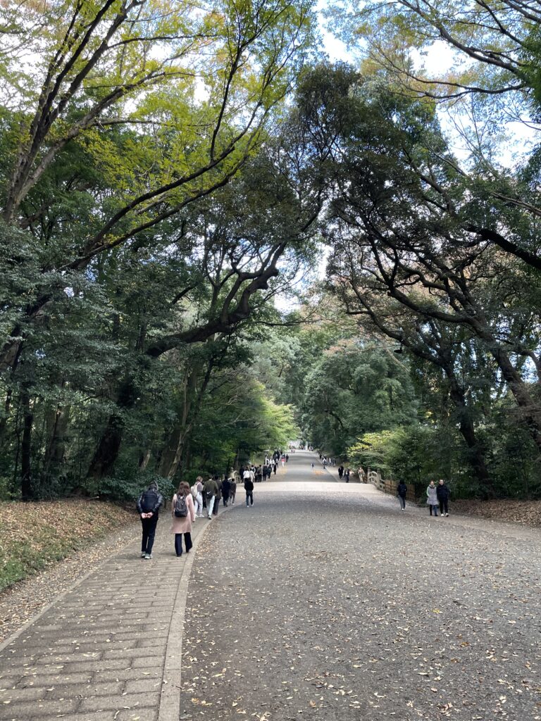 明治神宮内の参道