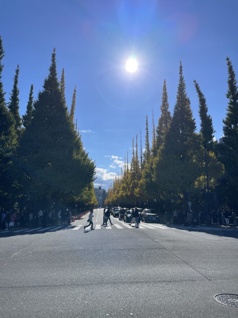 イチョウ並木と横断歩道